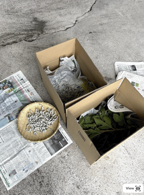 SILK-BioCraft Image 13